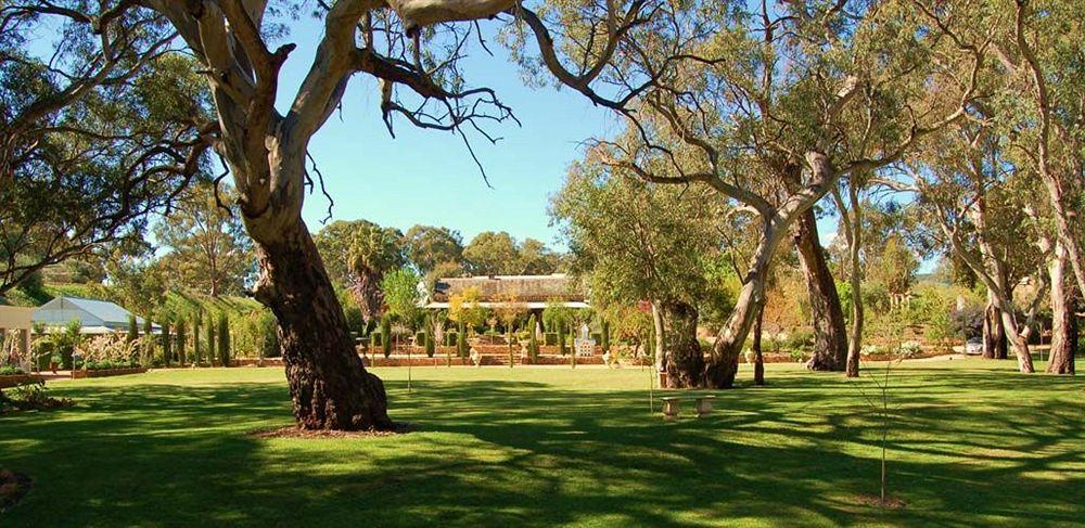 Jacobs Creek Retreat - Barossa Valley Tanunda Bagian luar foto
